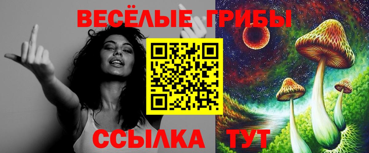 Псилоцибиновые грибы мухоморы  Вход с VPN  Касимов  Псилоцибиновые грибы мицелий 