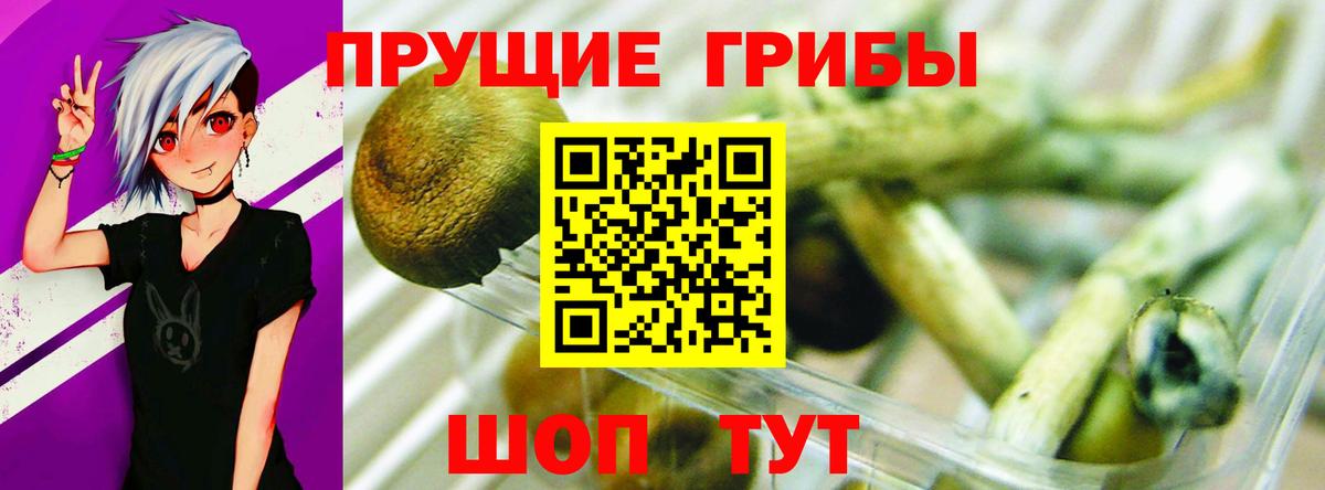 Псилоцибиновые грибы GOLDEN TEACHER Касимов
